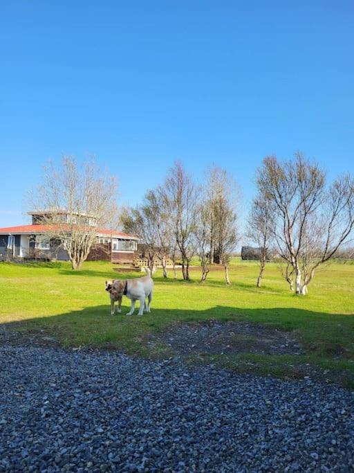 Sibbu Hus Brjansstadir Exterior foto