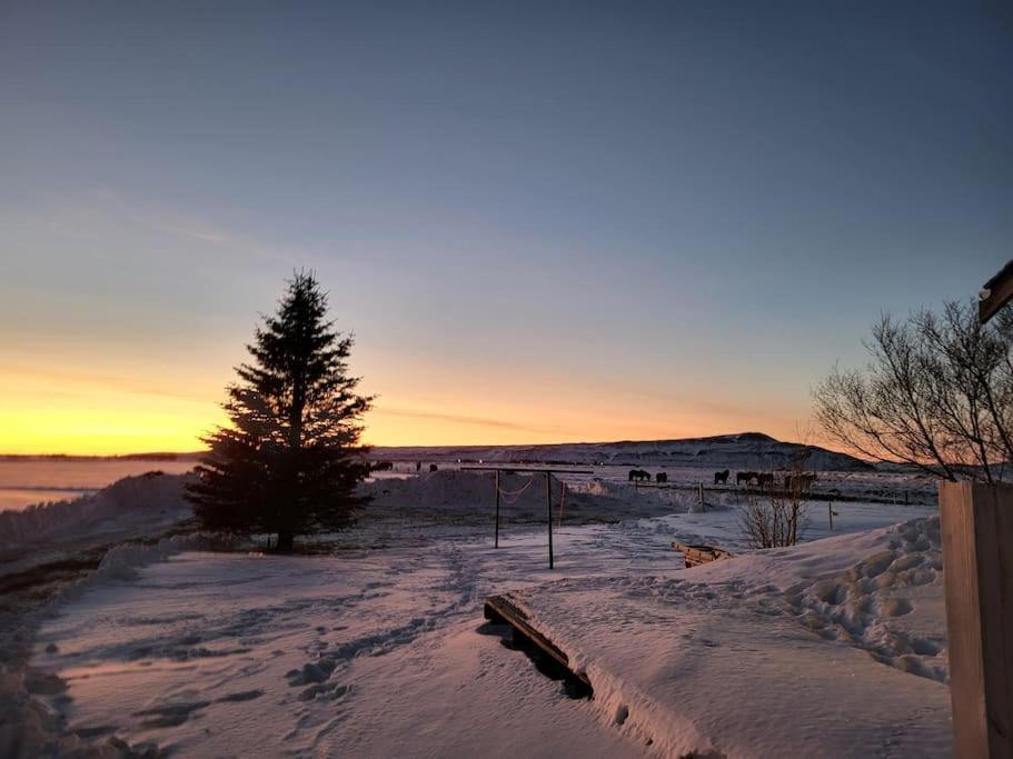 Sibbu Hus Brjansstadir Exterior foto